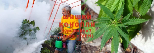 mdpv Богородск