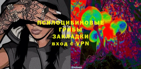 mdpv Богородск