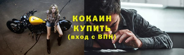 сатива Бронницы