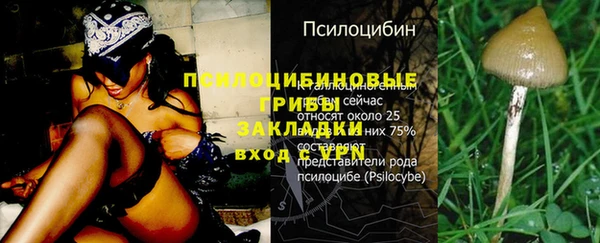 mdpv Богородск