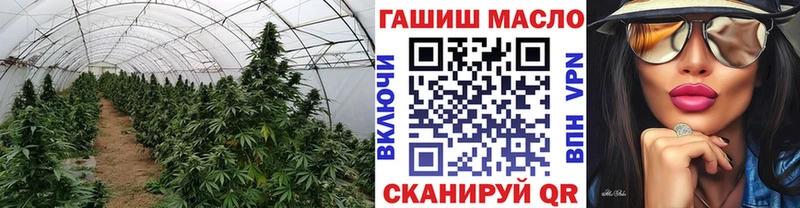 ТГК концентрат MEGA онион Белово