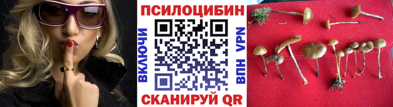 Псилоцибиновые грибы мицелий  Белово 